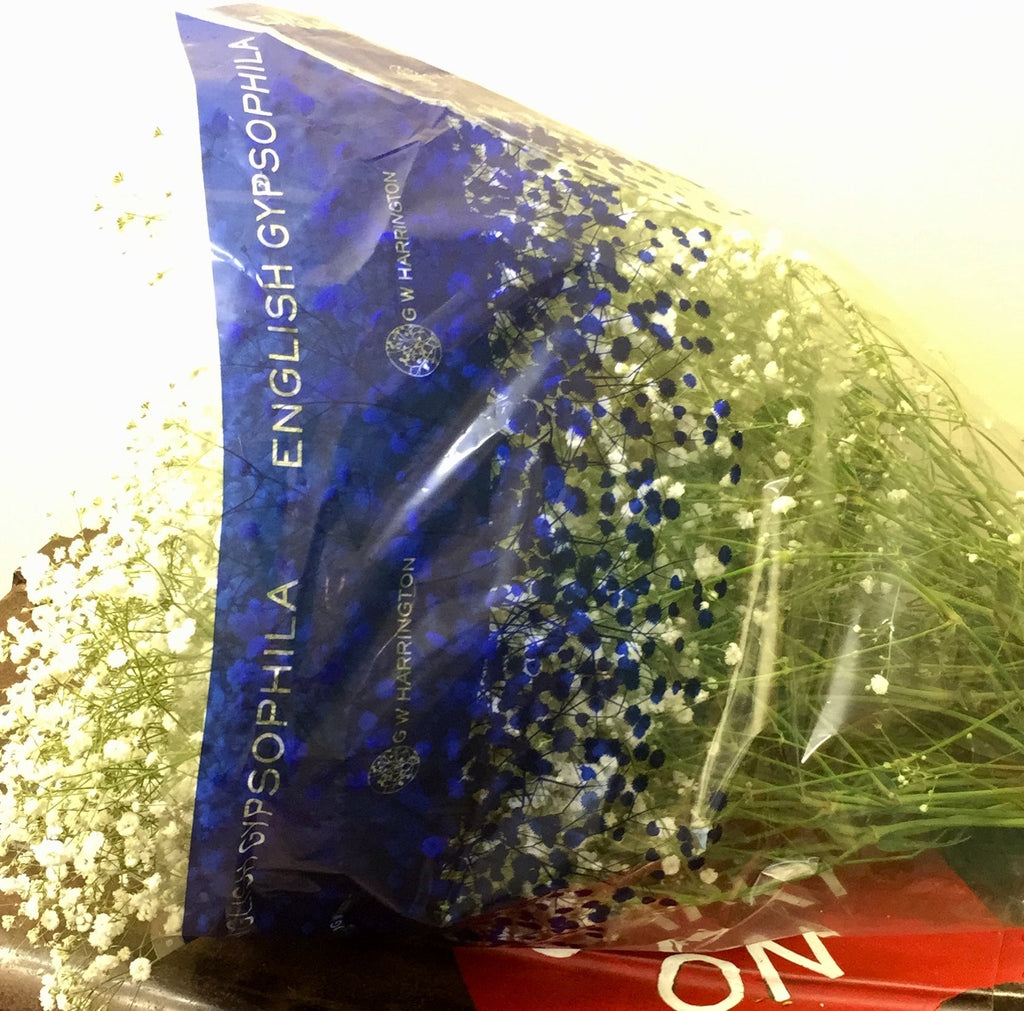 Gypsophila - WHITE - British White 70-80cm - (small bunch, 25 or 100 Stems)